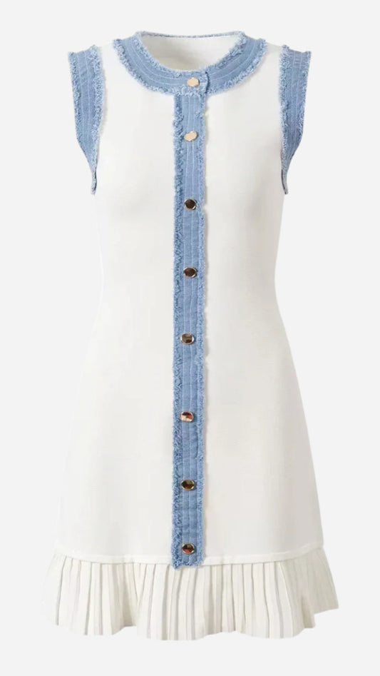 JENALA DENIM DRESS